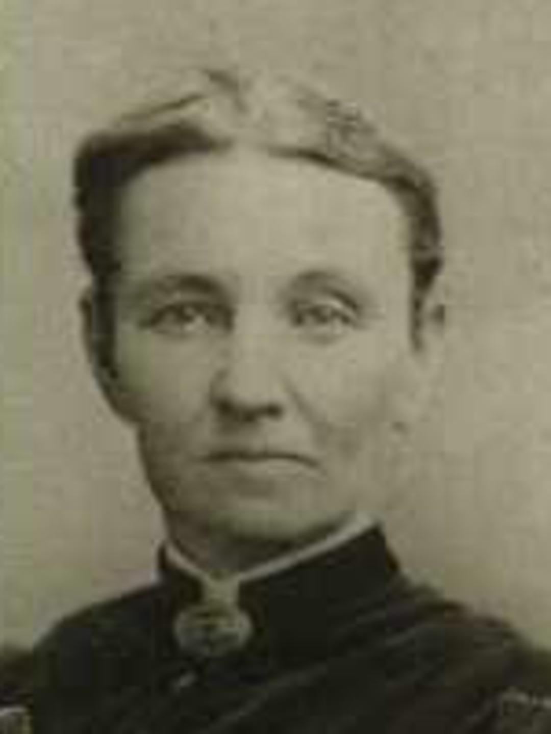 Ann Dodd White (1836 - 1921) Profile